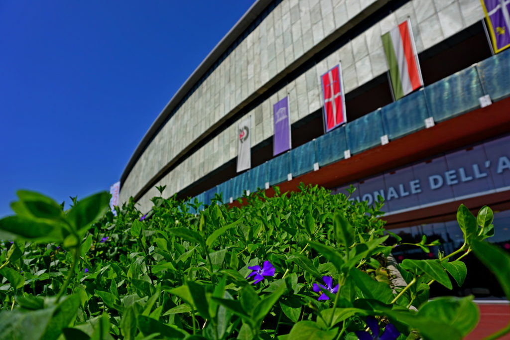 5571carellata